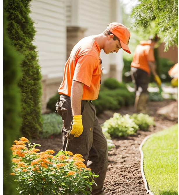 JC Landscaping team member planting flowers in a garden bed